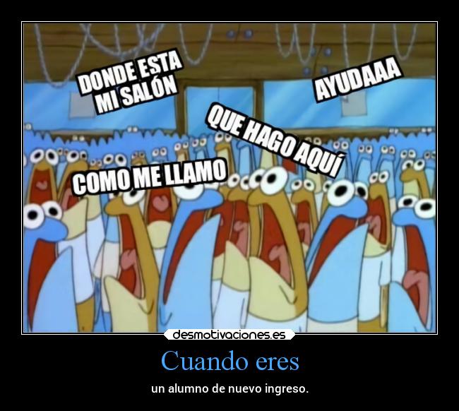 carteles vida humor nuevo ingreso alumos tonterias chopper igbt sponge bob esponja desmotivaciones
