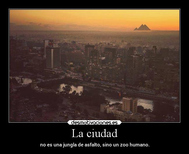 La ciudad - no es una jungla de asfalto, sino un zoo humano.