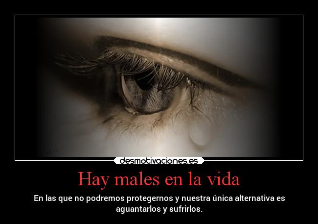 carteles vida vida males podras nopuedes poder protegernos unica alternativa aguantar sufrir desmotivaciones