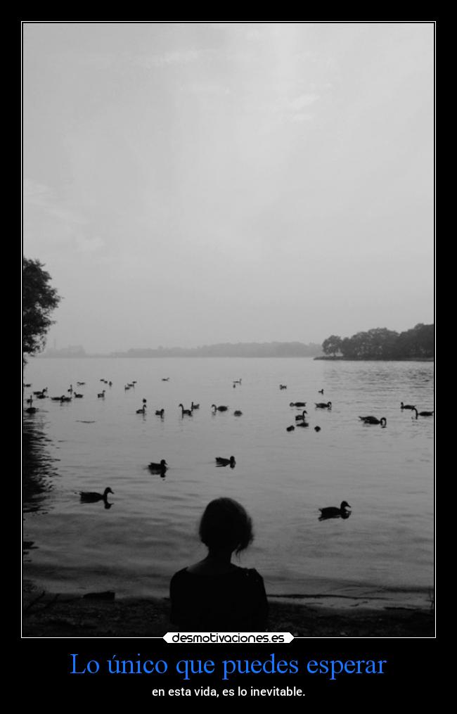 Lo único que puedes esperar - 