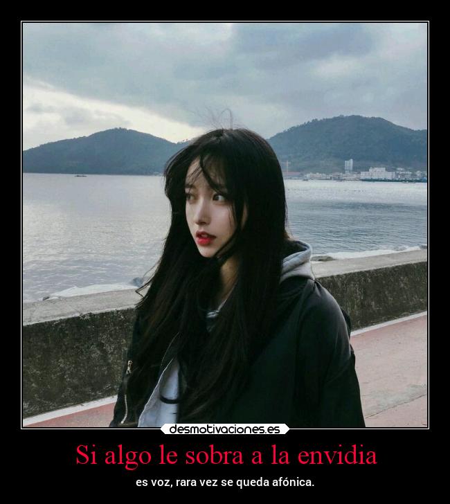 carteles vida pensamientos criticas envidia projectd desmotivaciones