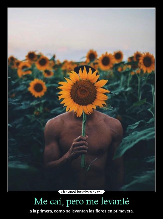 Me caí, pero me levanté - a la primera, como se levantan las flores en primavera.