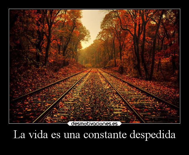 La vida es una constante despedida -
