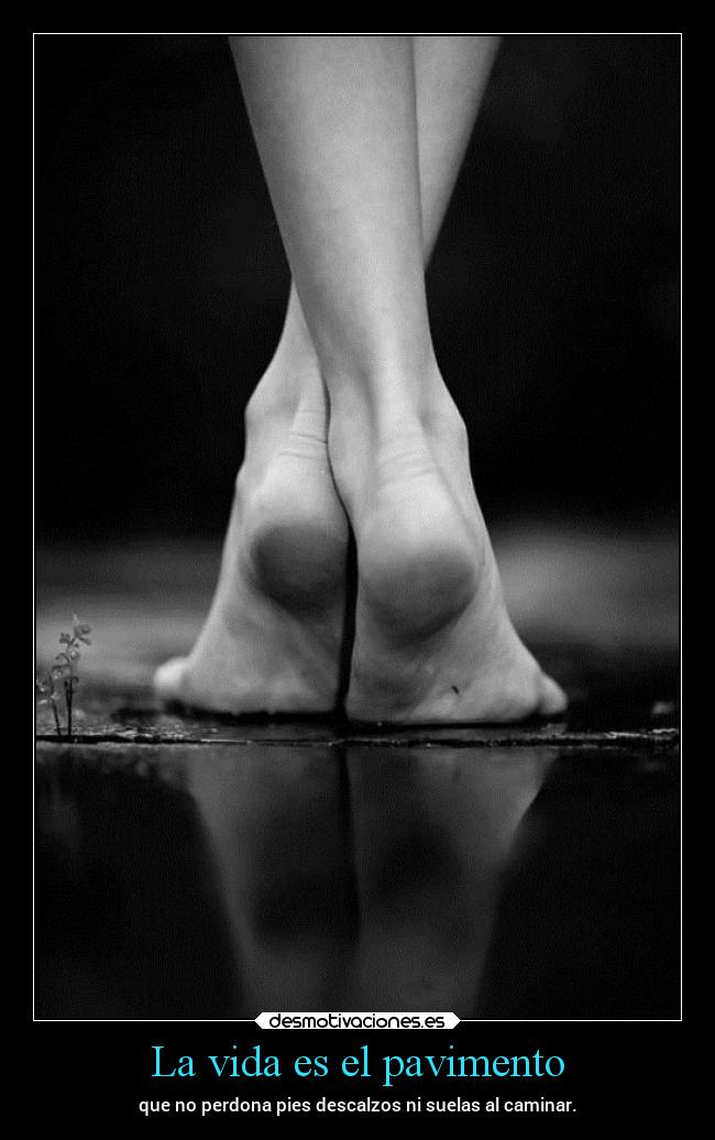La vida es el pavimento -