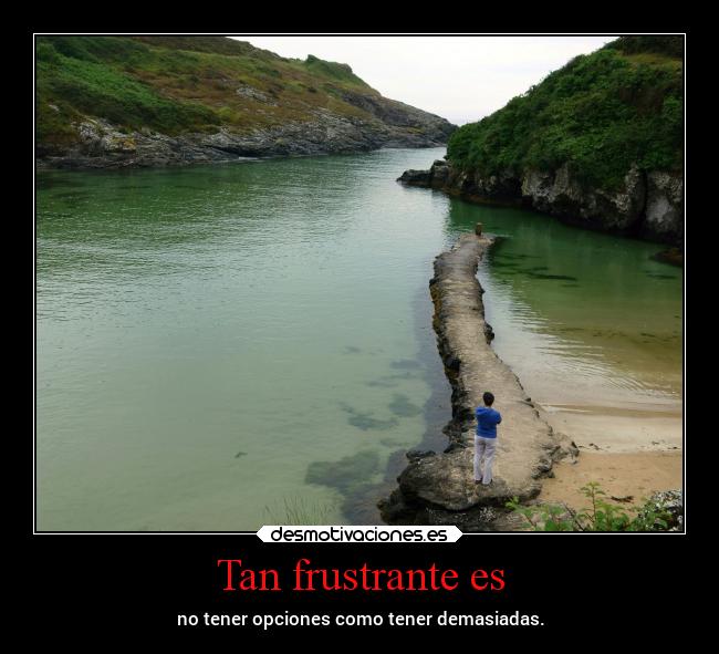 carteles vida totalnosfrustramosportodo desmotivaciones