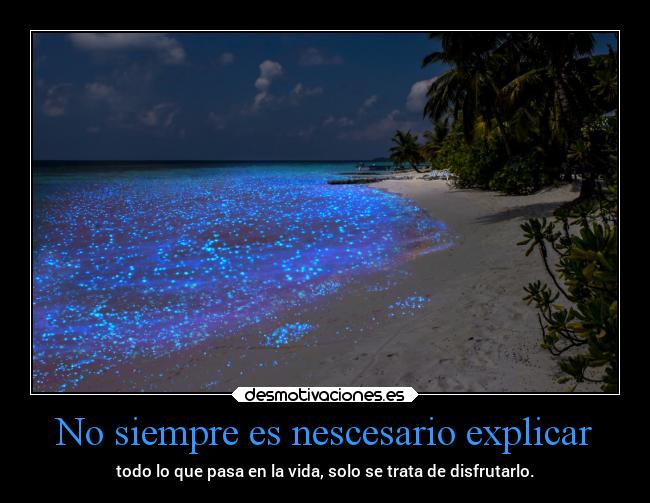 carteles vida verano noche chopper igbt desmoveranito playas paraisos desmotivaciones