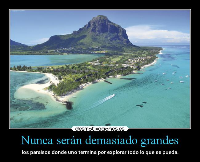 carteles vida verano lugares profesor caos chopper igbt desmoveranito desmotivaciones