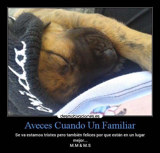 Aveces Cuando Un Familiar - Se va estamos tristes pero también felices por que están en un lugar
mejor...
M.M & M.S