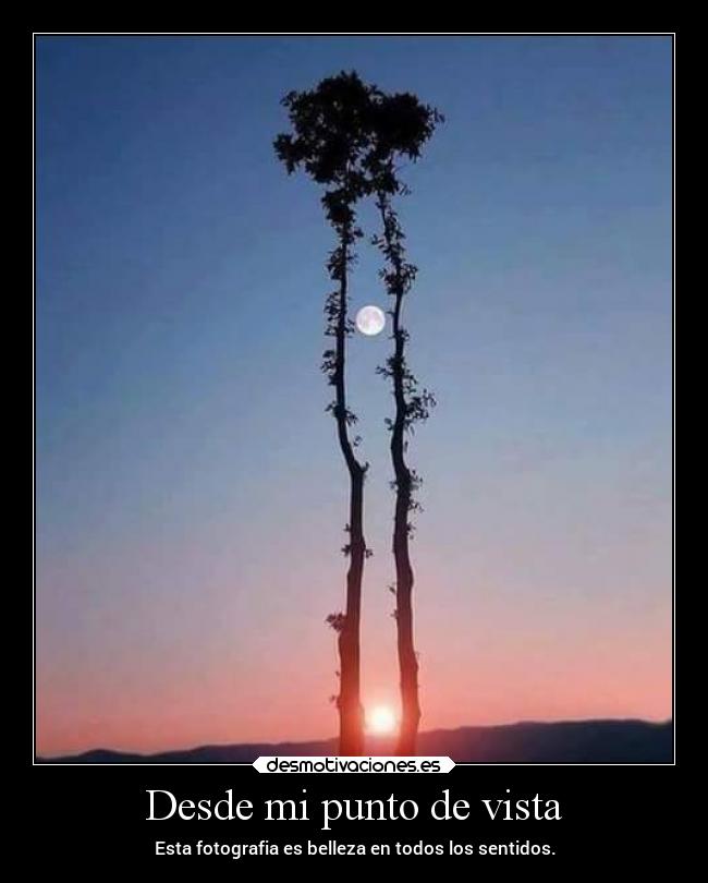 Desde mi punto de vista - 