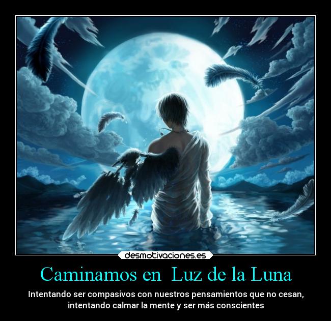 Caminamos en  Luz de la Luna - 