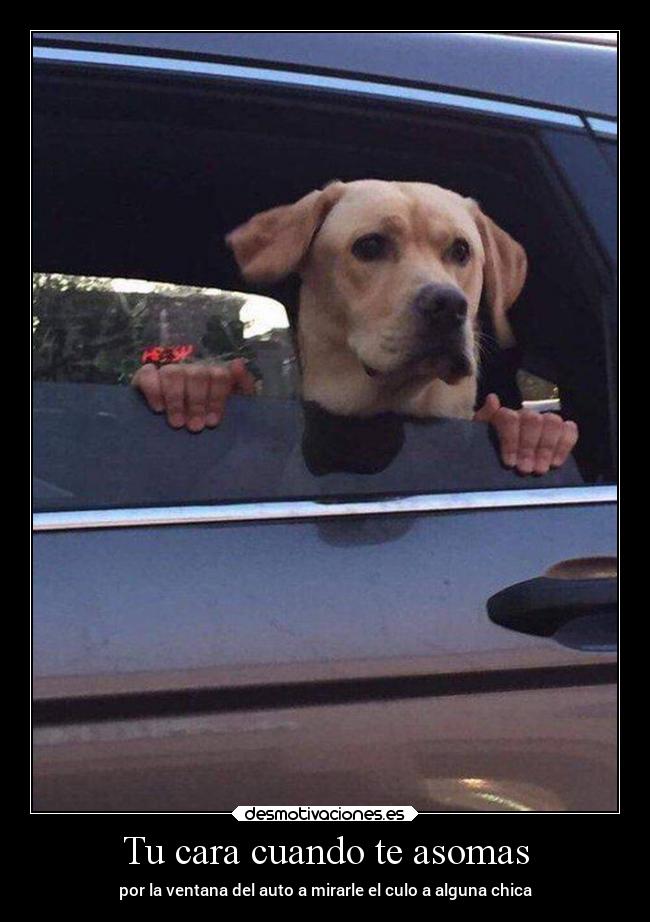 carteles amor desmotivaciones