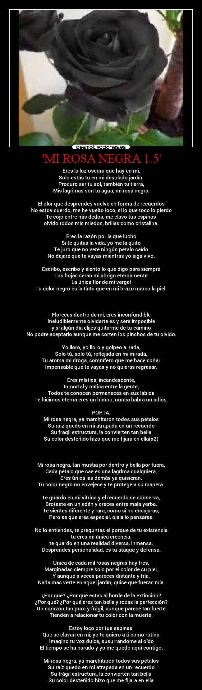 carteles amor musica locosdeamor laalianzarebelde porta letra equilibrio desmotivaciones