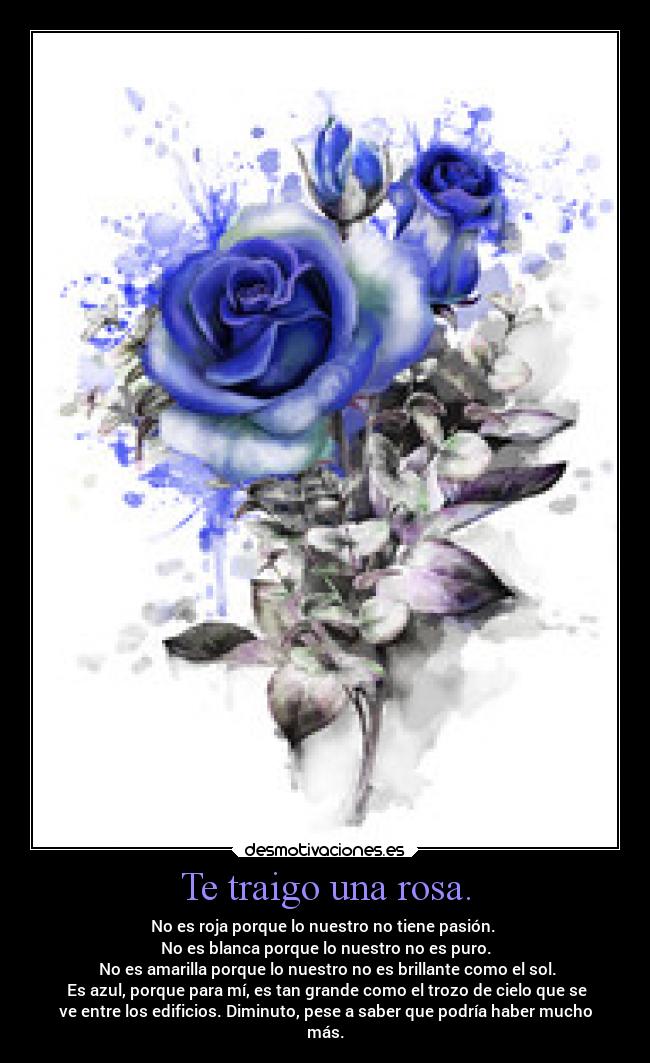 Te traigo una rosa. -