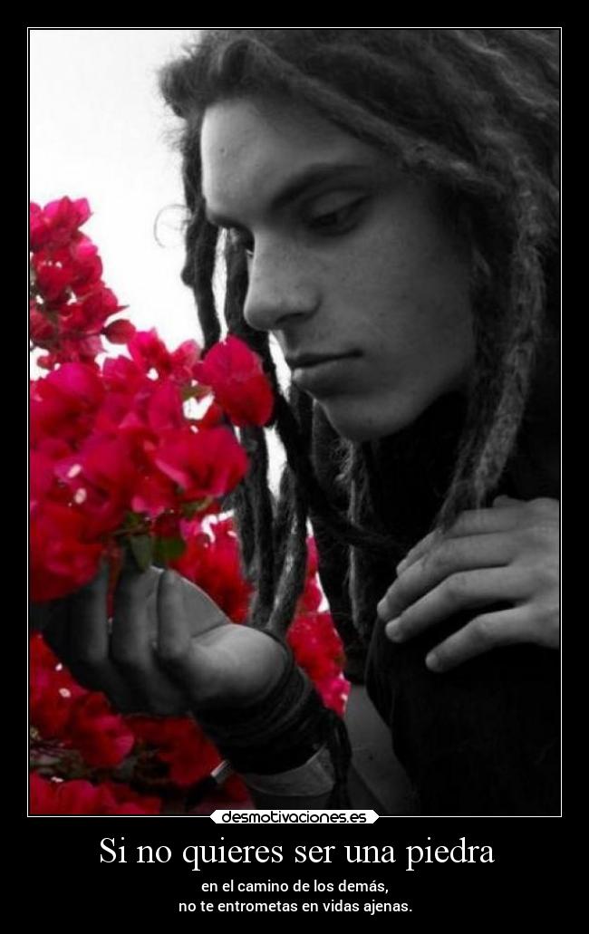 Si no quieres ser una piedra - 