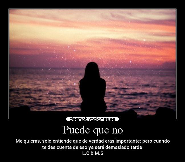Puede que no - Me quieras, solo entiende que de verdad eras importante; pero cuando
te des cuenta de eso ya será demasiado tarde
L.C & M.S