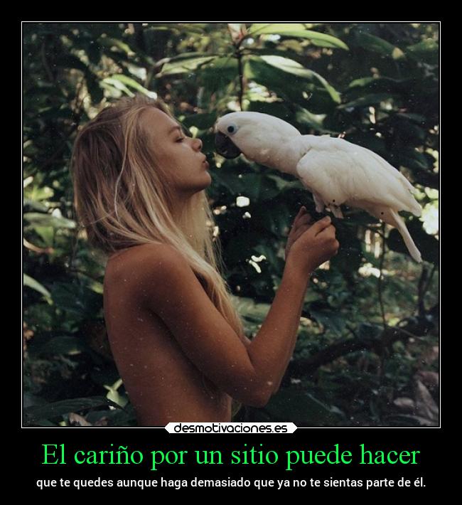 El cariño por un sitio puede hacer - 