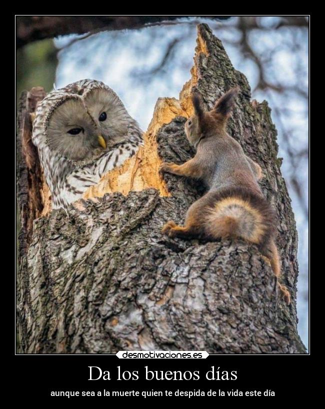 carteles ausencia desmotivaciones
