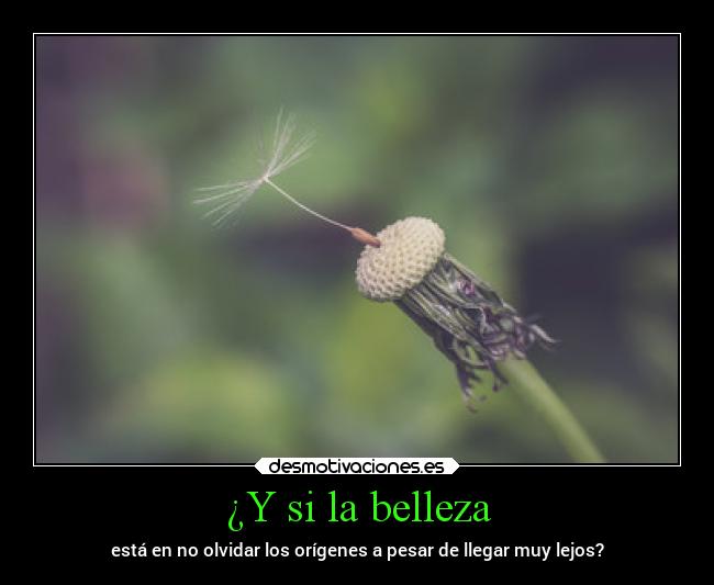 carteles casa origen belleza desmotivaciones