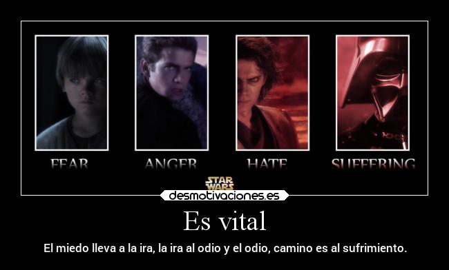 Es vital - El miedo lleva a la ira, la ira al odio y el odio, camino es al sufrimiento.