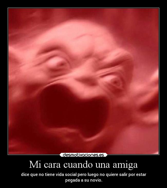 Mi cara cuando una amiga - dice que no tiene vida social pero luego no quiere salir por estar
pegada a su novio.