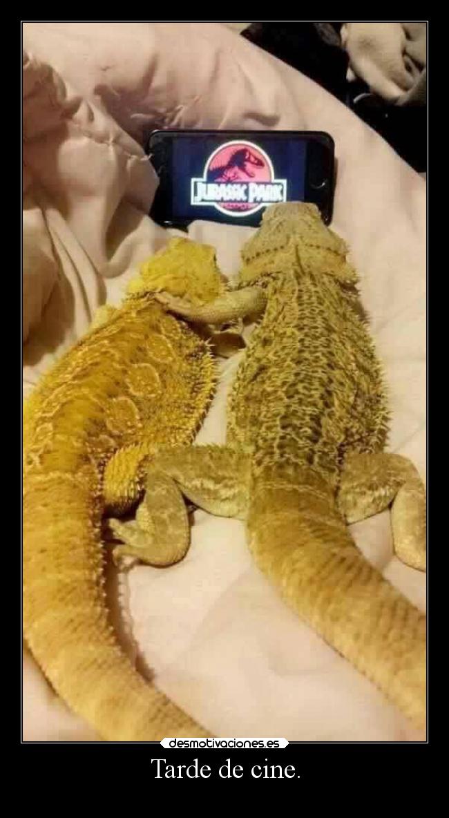 carteles cine sexo summit bollicaosjota breathe breathebreathe desmotivaciones