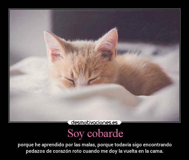 Soy cobarde - porque he aprendido por las malas, porque todavía sigo encontrando
pedazos de corazón roto cuando me doy la vuelta en la cama.