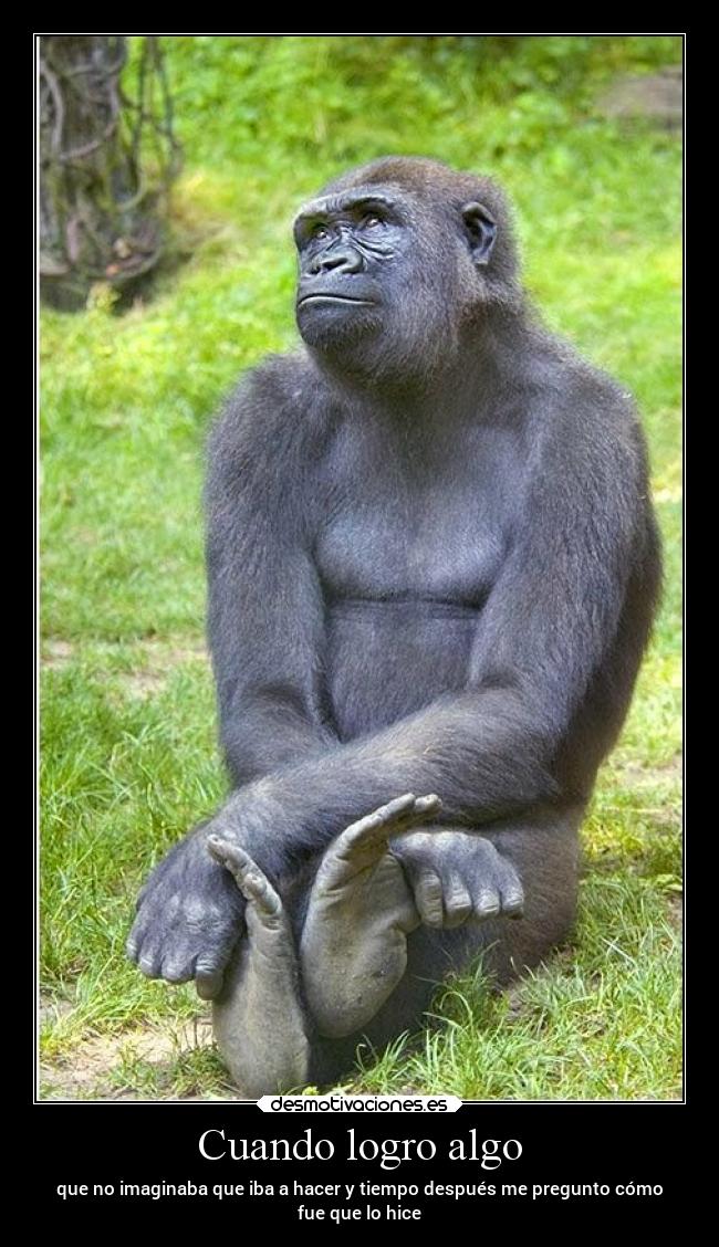 Cuando logro algo - que no imaginaba que iba a hacer y tiempo después me pregunto cómo
fue que lo hice