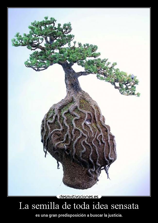 La semilla de toda idea sensata -