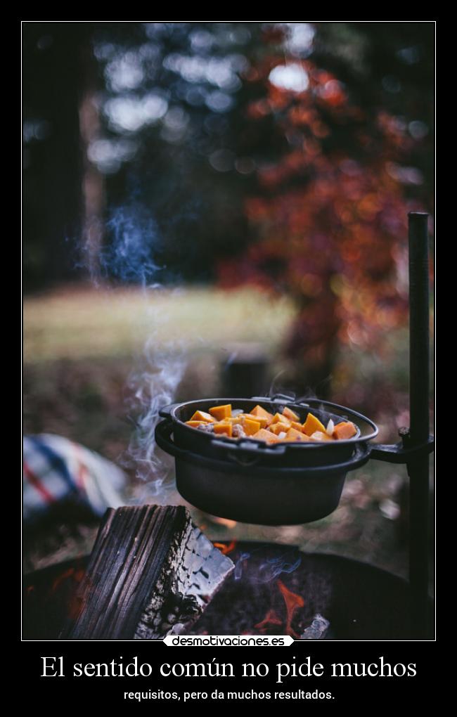 El sentido común no pide muchos -