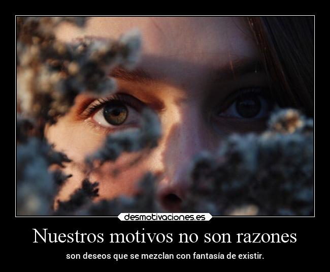 carteles desmotivaciones vida clandesplazado soyunidiotatm manada32 projectd desmotivaciones