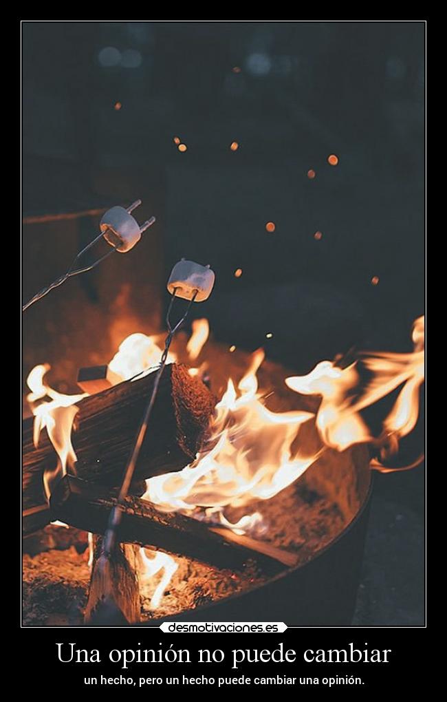 Una opinión no puede cambiar -