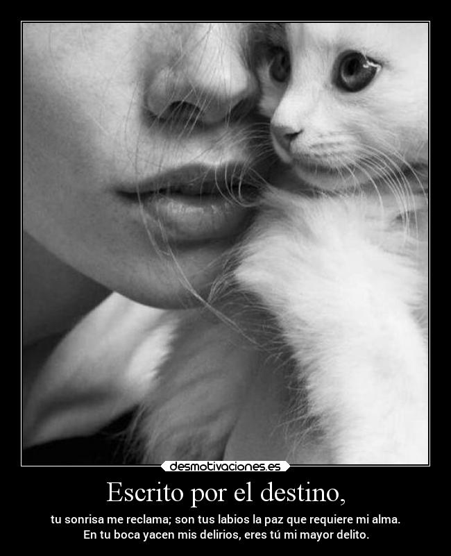 Escrito por el destino, - tu sonrisa me reclama; son tus labios la paz que requiere mi alma.
En tu boca yacen mis delirios, eres tú mi mayor delito.