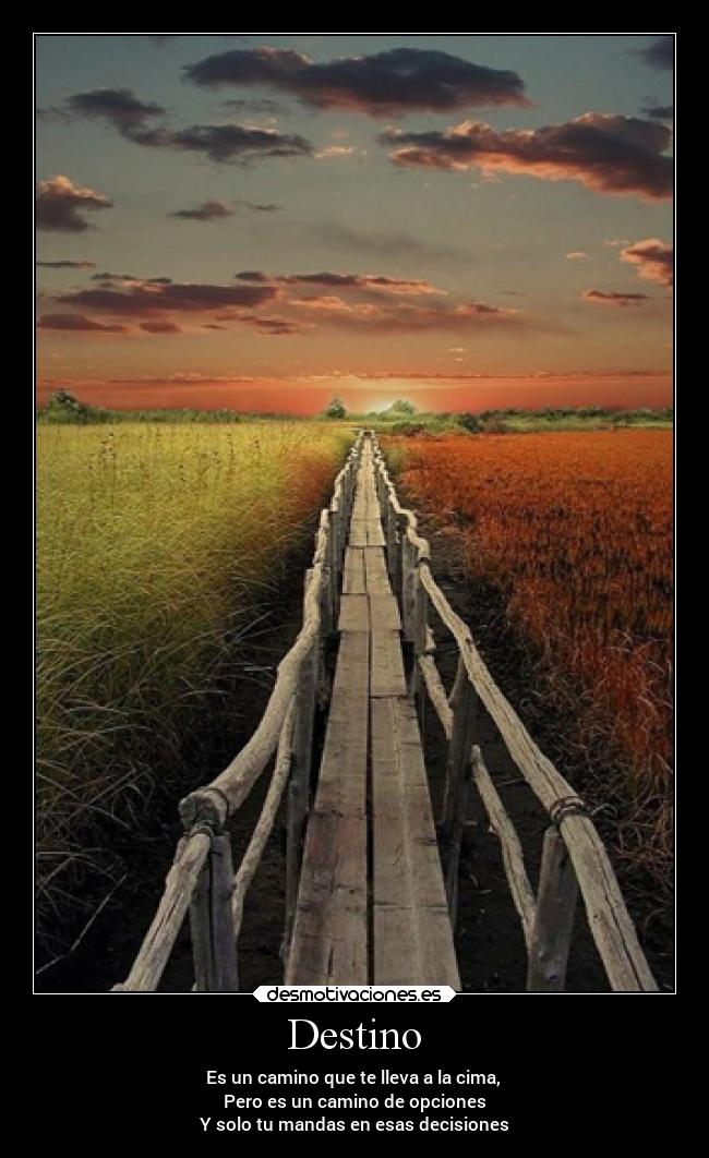 Destino - Es un camino que te lleva a la cima,
Pero es un camino de opciones
Y solo tu mandas en esas decisiones