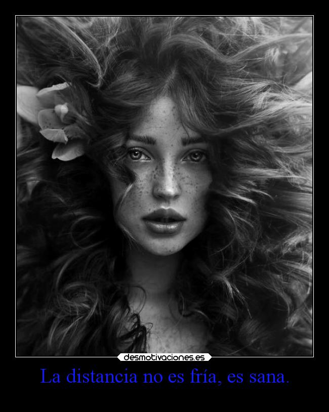 carteles distancia vida ideas pensamientos distancias frio desmotivaciones