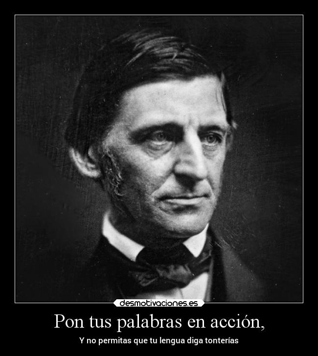 carteles historia literatura 500killerfrases desmotivaciones