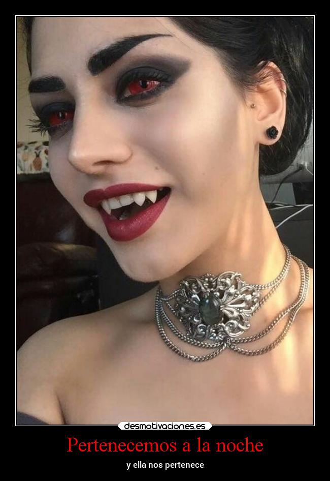 Pertenecemos a la noche -