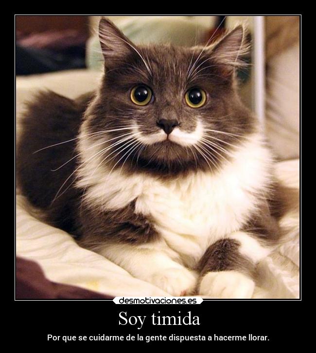 Soy timida -