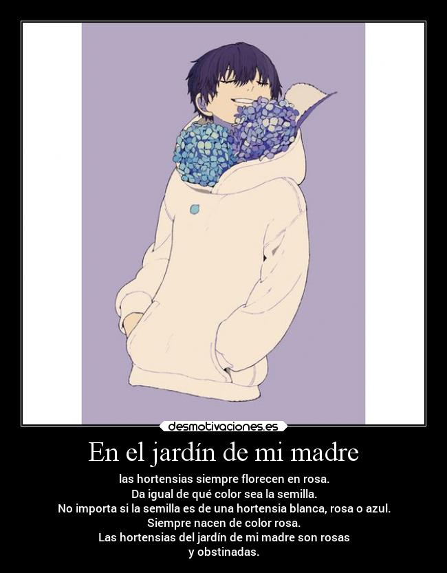 En el jardín de mi madre - las hortensias siempre florecen en rosa.
Da igual de qué color sea la semilla.
No importa si la semilla es de una hortensia blanca, rosa o azul.
Siempre nacen de color rosa.
Las hortensias del jardín de mi madre son rosas
y obstinadas.
