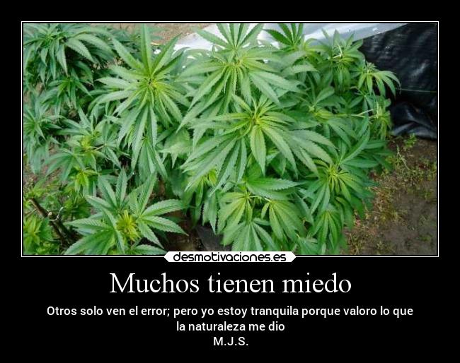 Muchos tienen miedo - Otros solo ven el error; pero yo estoy tranquila porque valoro lo que
la naturaleza me dio
M.J.S.