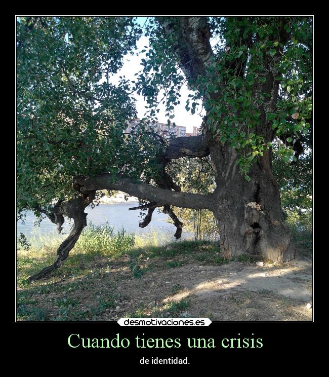 carteles naturaleza arbol identidad persona desmotivaciones