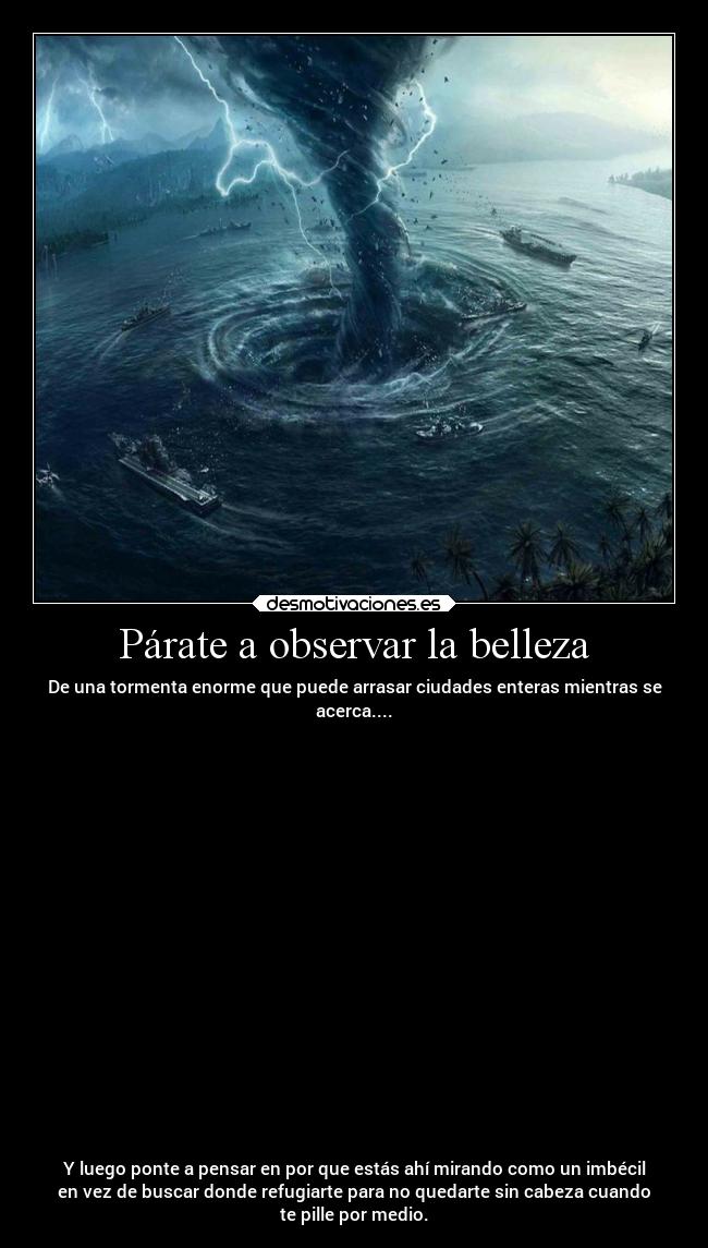 Párate a observar la belleza - De una tormenta enorme que puede arrasar ciudades enteras mientras se
acerca....



















Y luego ponte a pensar en por que estás ahí mirando como un imbécil
en vez de buscar donde refugiarte para no quedarte sin cabeza cuando
te pille por medio.