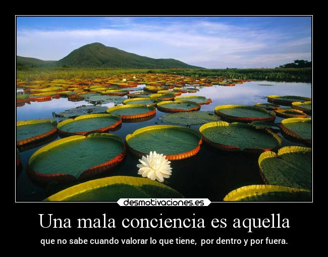 Una mala conciencia es aquella - 