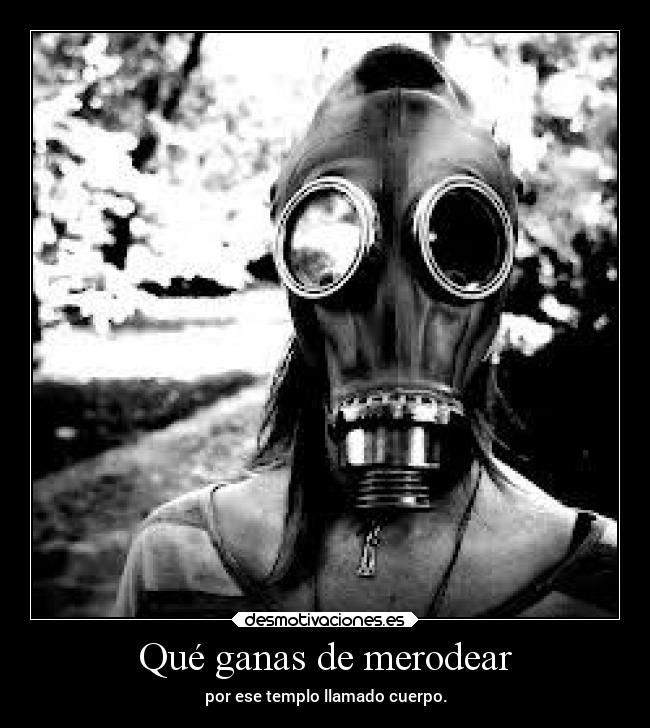 Qué ganas de merodear - 