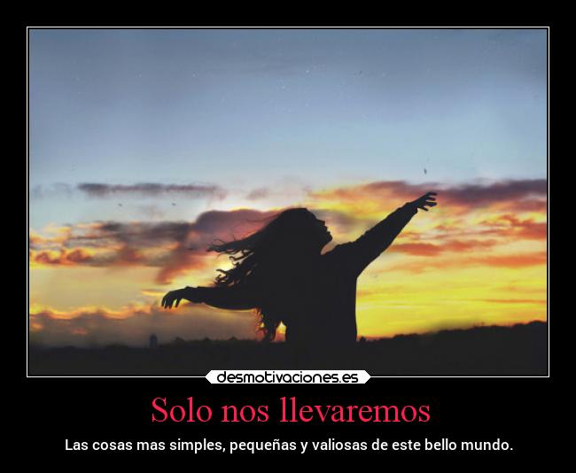 Solo nos llevaremos -