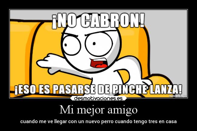 Mi mejor amigo - cuando me ve llegar con un nuevo perro cuando tengo tres en casa