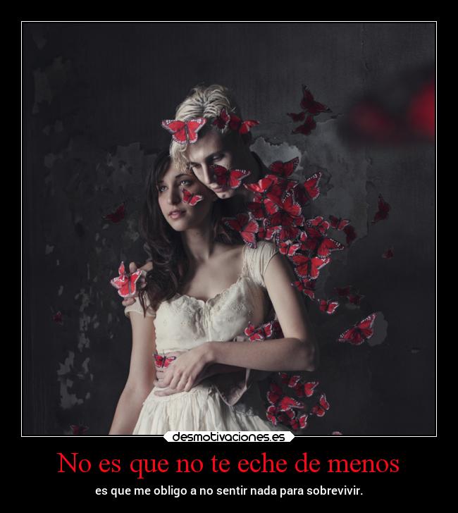 No es que no te eche de menos -