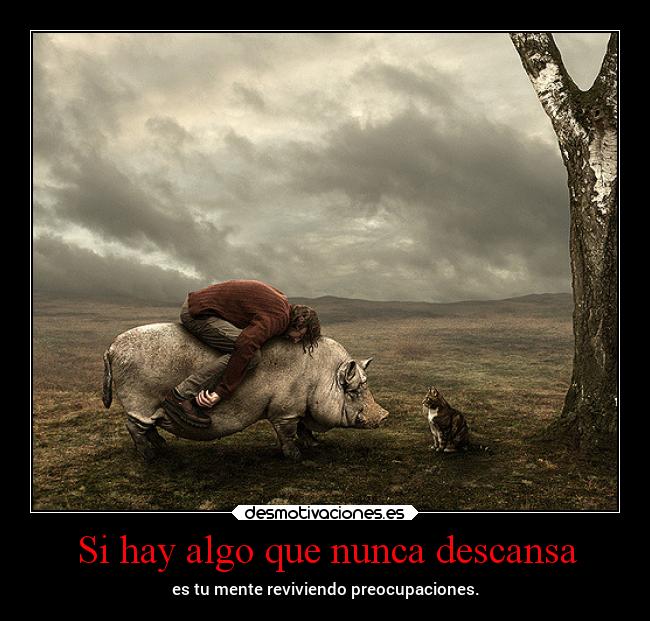 carteles sentimientos desmotivaciones