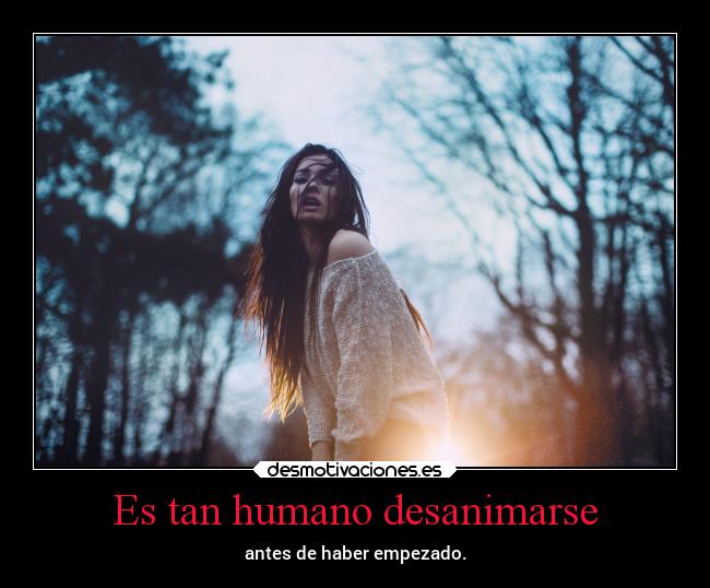 carteles sentimientos reciclandomisfrases desmotivaciones