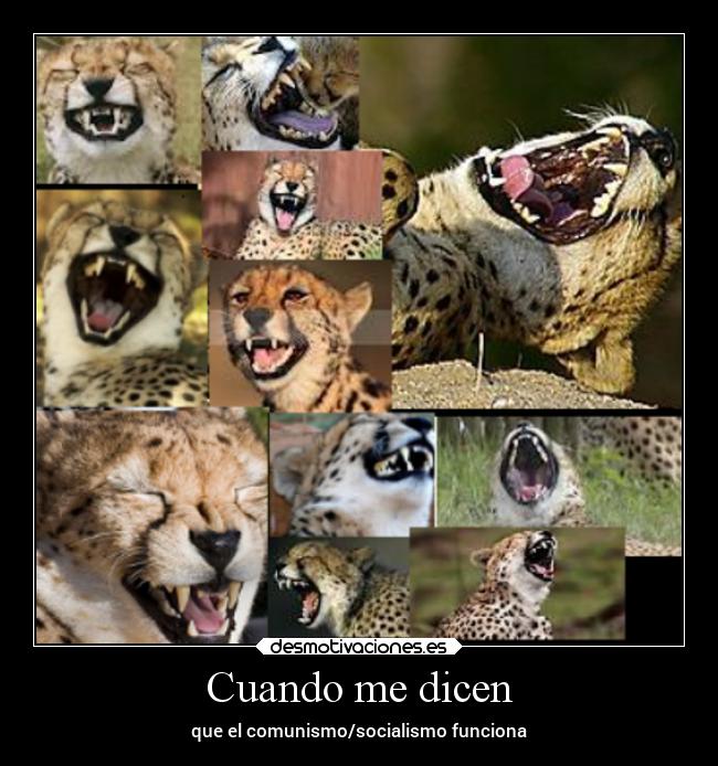 carteles sexo desmotivaciones