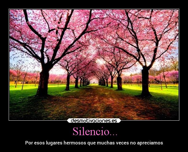 Silencio... - Por esos lugares hermosos que muchas veces no apreciamos
